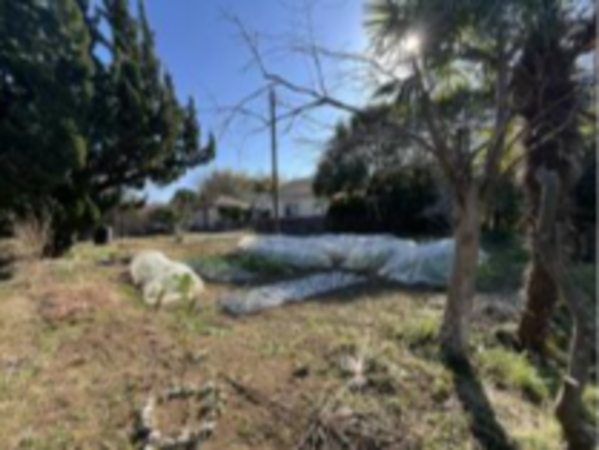 いすみ市国府台、土地の外観画像です