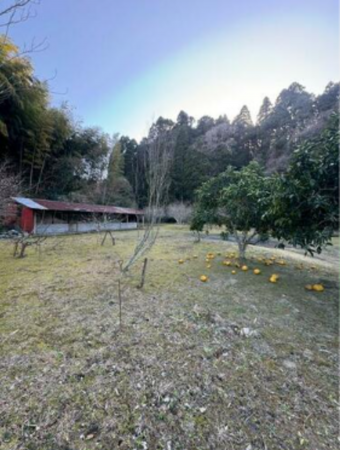 いすみ市長志、中古一戸建ての画像です