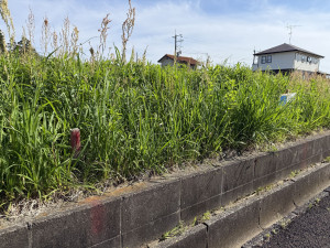 長生郡睦沢町川島、土地の画像です