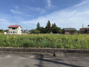 長生郡睦沢町川島、土地の画像です