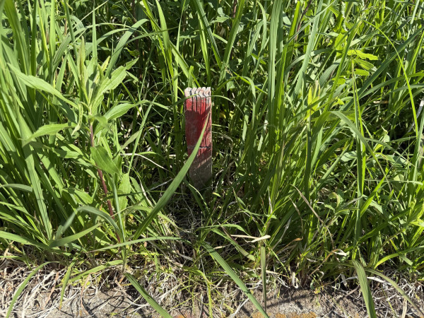 長生郡睦沢町川島、土地の画像です