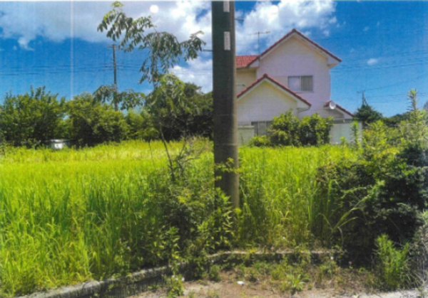 いすみ市岬町、土地の画像です