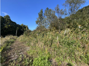 いすみ市岬町、土地の画像です