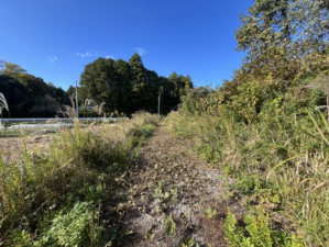 いすみ市岬町、土地の画像です