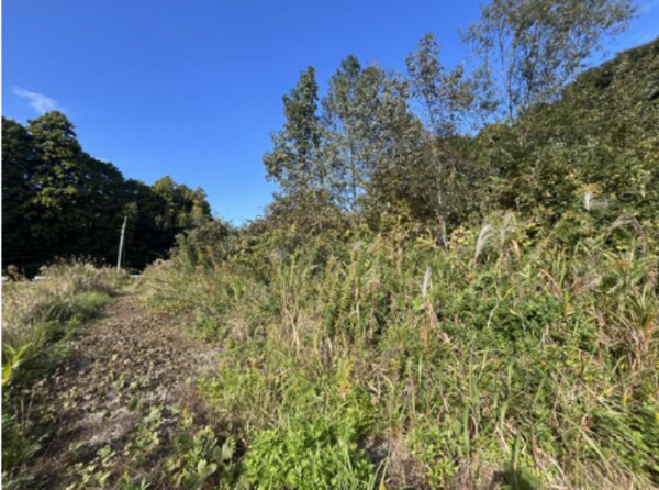 いすみ市岬町、土地の画像です