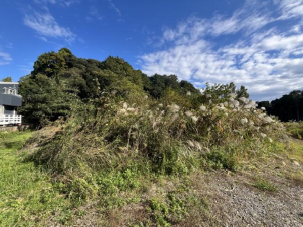 いすみ市岬町、土地の画像です