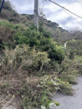 いすみ市岬町、土地の画像です