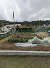 いすみ市山田、中古一戸建ての外観画像です