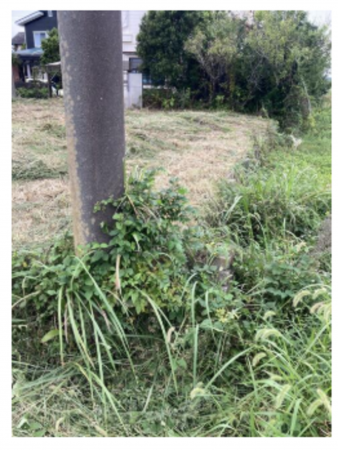 いすみ市岬町、土地の画像です