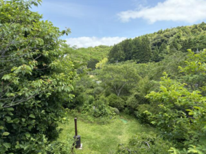 いすみ市釈迦谷、中古一戸建ての画像です
