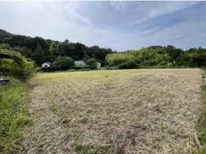 勝浦市芳賀、土地の画像です