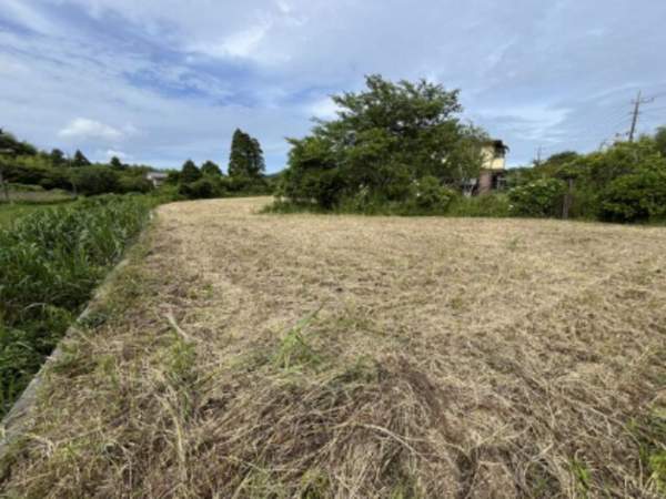 勝浦市芳賀、土地の画像です