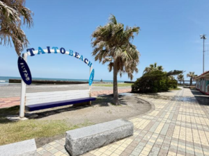 いすみ市岬町、土地の画像です