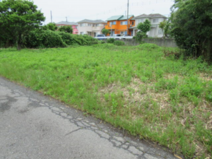 いすみ市岬町、土地の画像です