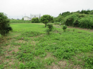 いすみ市岬町、土地の画像です