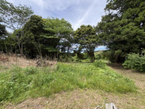 勝浦市宿戸、土地の画像です