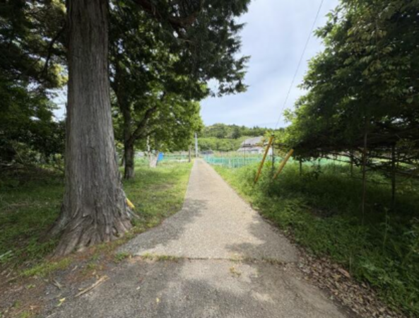 勝浦市宿戸、土地の画像です