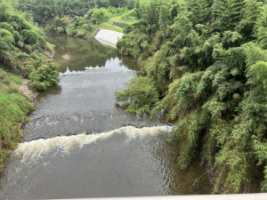 夷隅郡大多喜町下大多喜、土地の画像です