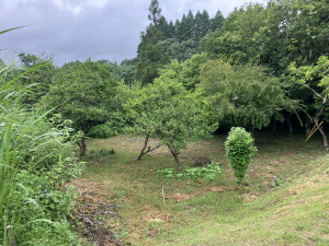 夷隅郡大多喜町下大多喜、土地の画像です