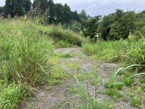 夷隅郡大多喜町下大多喜、土地の画像です