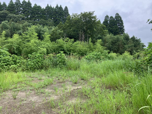 夷隅郡大多喜町下大多喜、土地の画像です