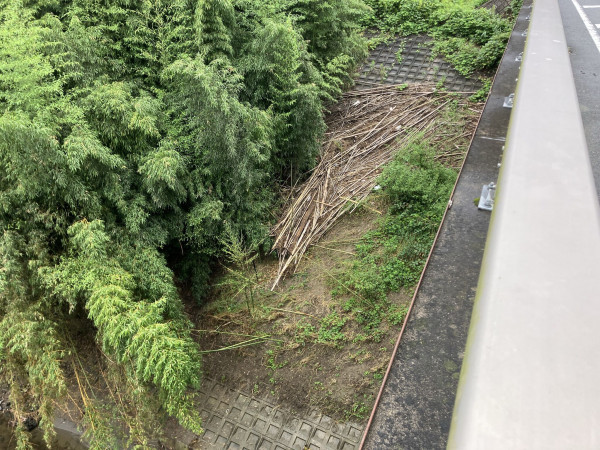 夷隅郡大多喜町下大多喜、土地の画像です