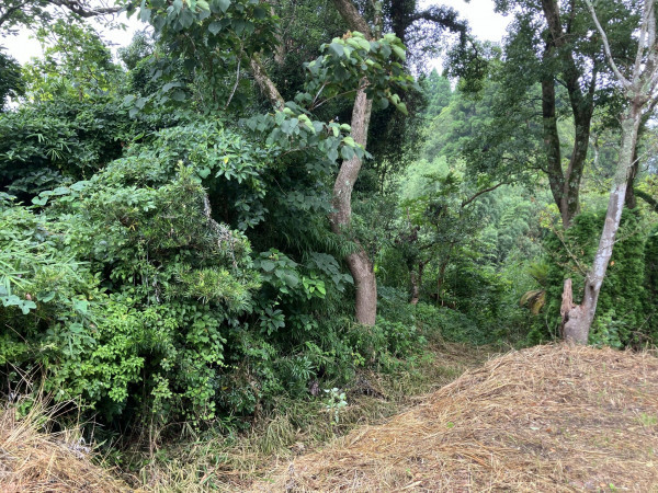 夷隅郡大多喜町下大多喜、土地の画像です