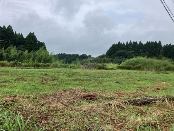夷隅郡大多喜町下大多喜、土地の画像です