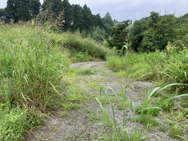 夷隅郡大多喜町下大多喜、土地の画像です