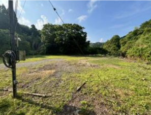 夷隅郡大多喜町粟又、土地の画像です