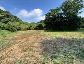 夷隅郡大多喜町粟又、土地の画像です