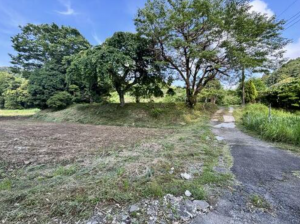 夷隅郡大多喜町粟又、土地の画像です