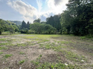夷隅郡大多喜町粟又、土地の画像です