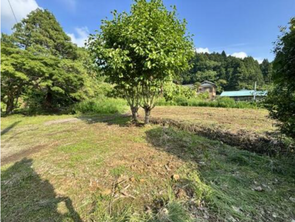夷隅郡大多喜町粟又、土地の画像です