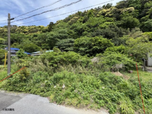 勝浦市墨名、土地の画像です