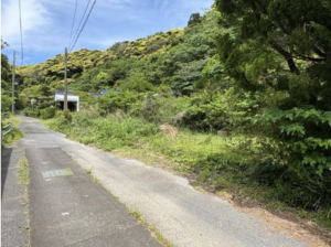 勝浦市墨名、土地の画像です