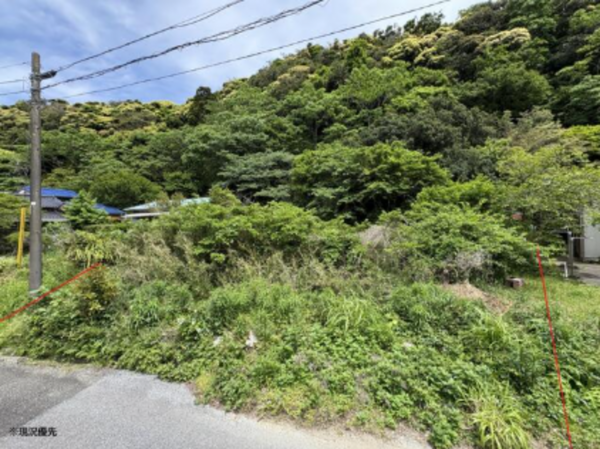 勝浦市墨名、土地の画像です