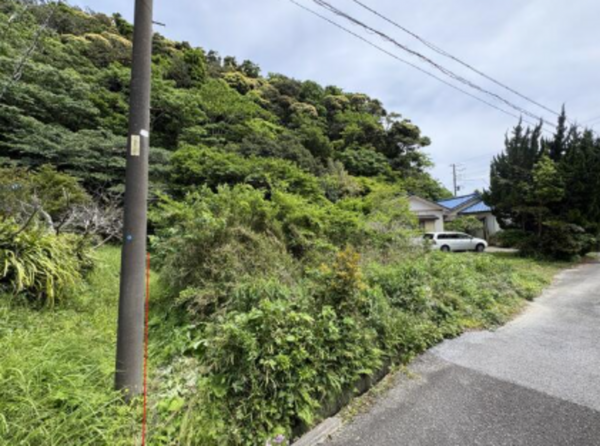 勝浦市墨名、土地の画像です