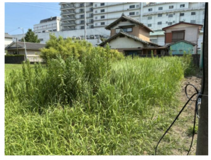 勝浦市墨名、土地の画像です