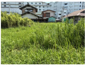勝浦市墨名、土地の画像です