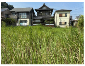勝浦市墨名、土地の画像です