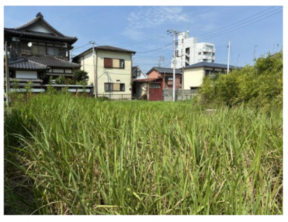 勝浦市墨名、土地の画像です