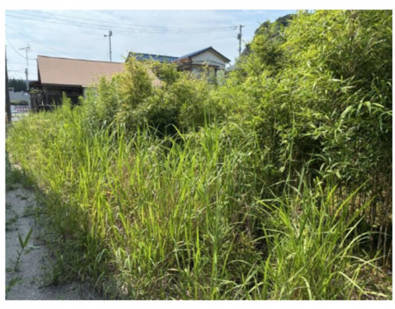 勝浦市墨名、土地の画像です