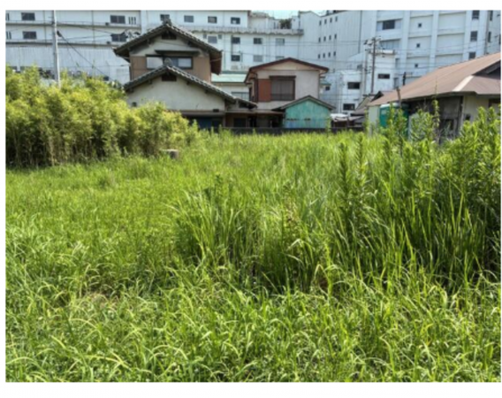 勝浦市墨名、土地の画像です