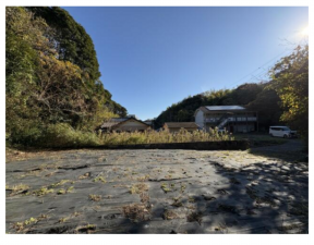 勝浦市出水、土地の画像です