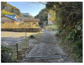 勝浦市出水、土地の画像です