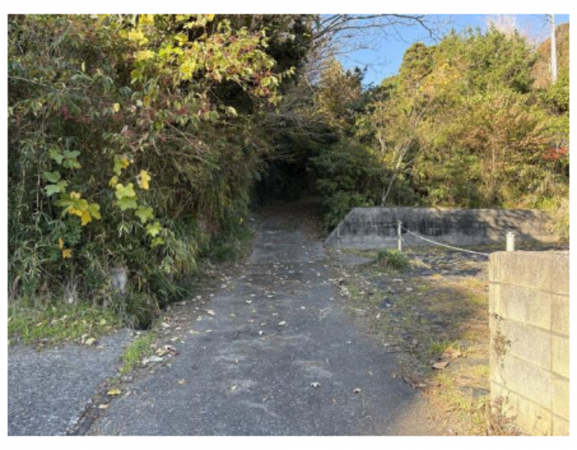 勝浦市出水、土地の画像です