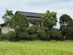 いすみ市大原台、中古一戸建ての外観画像です