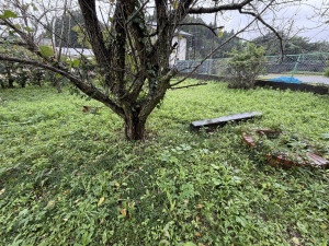 長生郡長南町芝原、土地の画像です