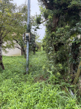 長生郡長南町芝原、土地の画像です